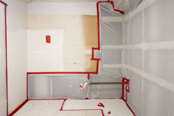 Trusted Mukwonago, WI Mold Removal Experts